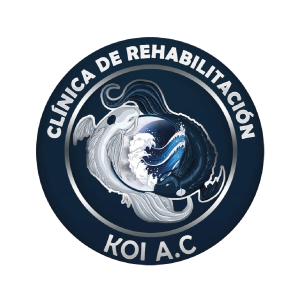 CLINICA DE REHABILITACION KOI