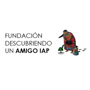 DESCUBRIENDO UN AMIGO IAP