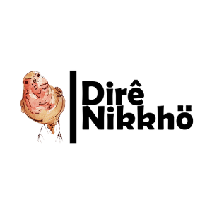 DIRE NIKKHO