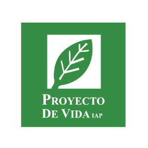 PROYECTO DE VIDA